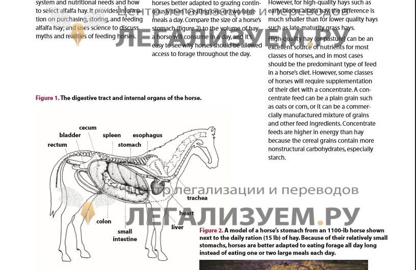 Вёрстка перевода